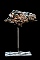sanglier